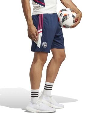 Boys Arsenal Training Shorts